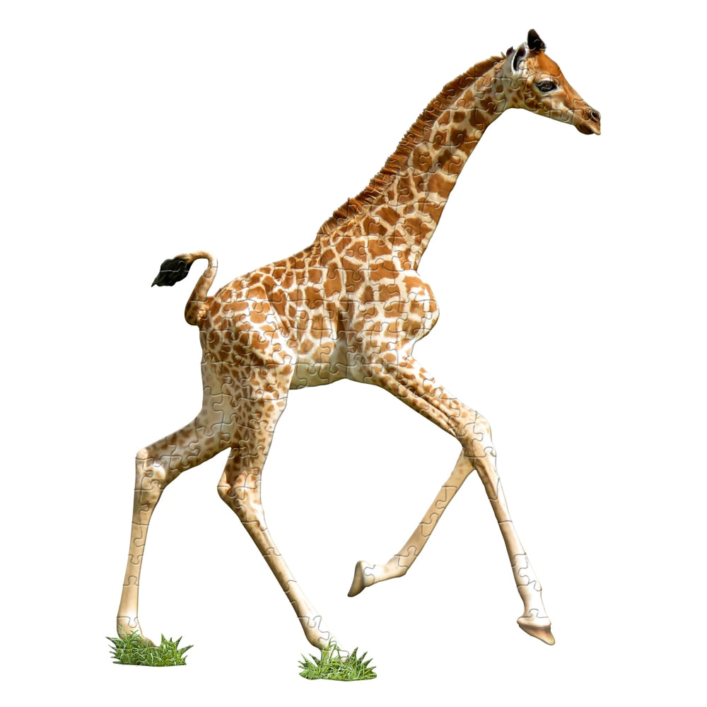 puzzle zsiraf