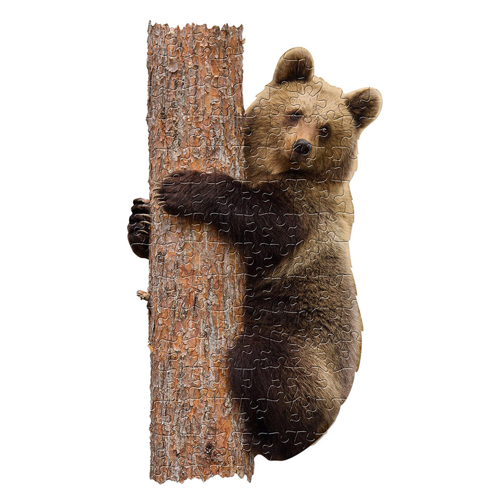 puzzle medve
