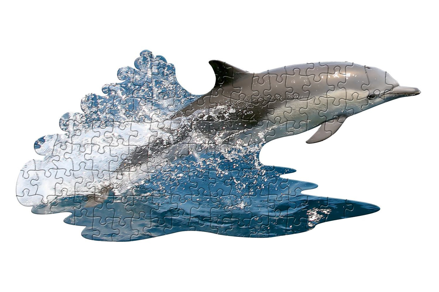 puzzle delfin