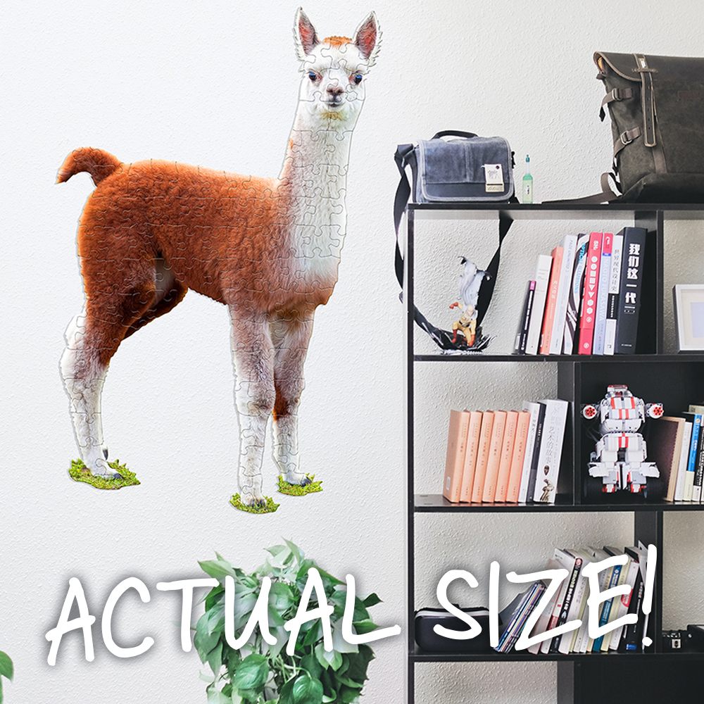 puzzle lama