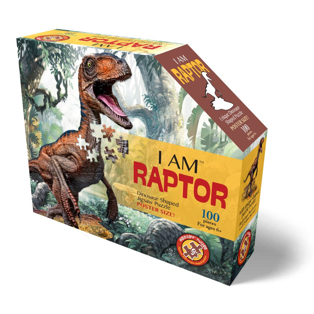 puzzle raptor