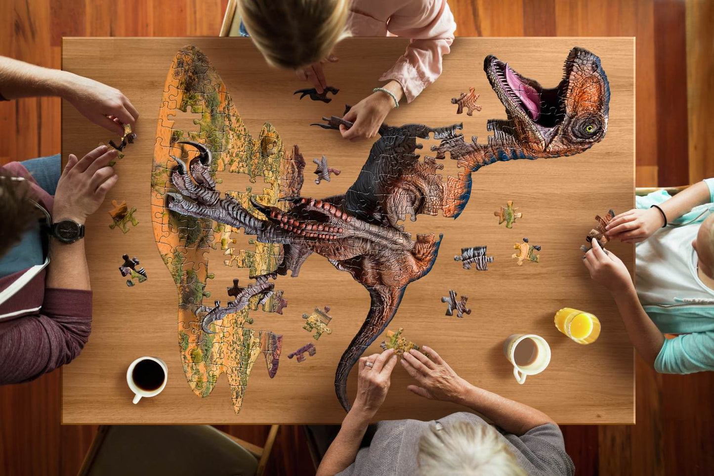 puzzle raptor