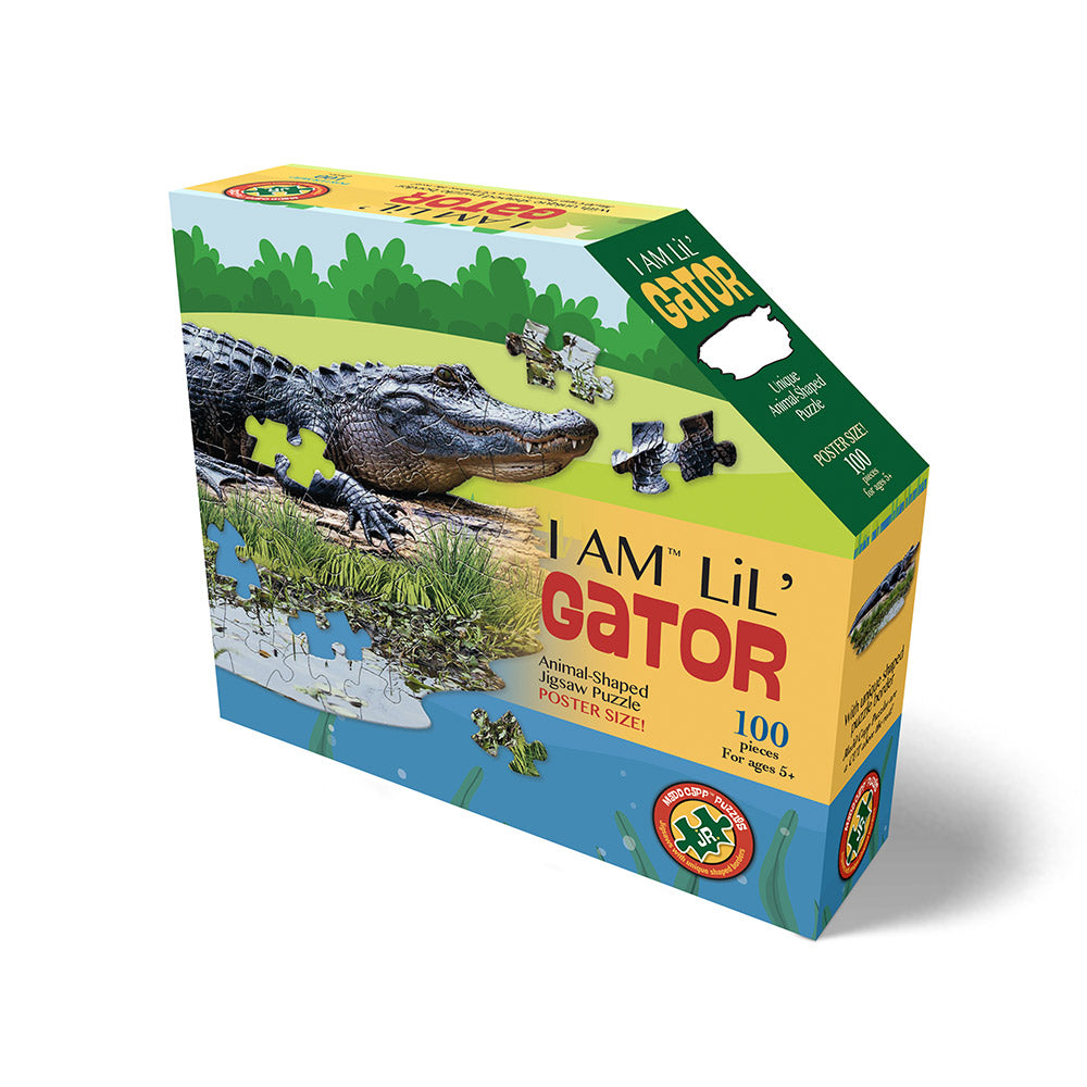 puzzle aligator