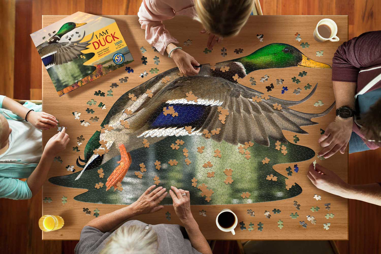 puzzle vadkacsa
