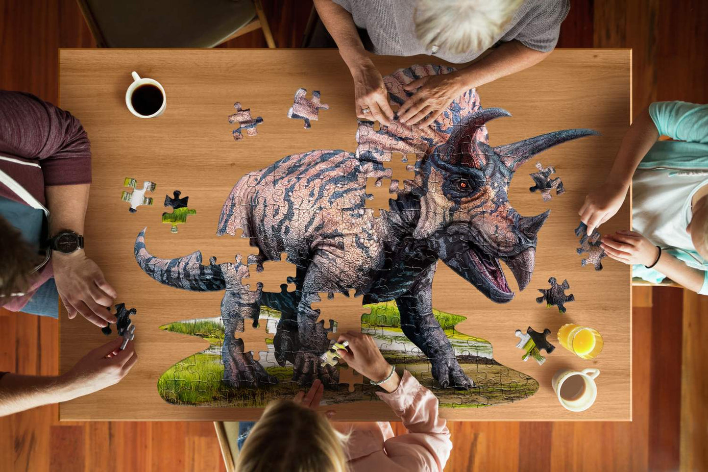 puzzle triceratops