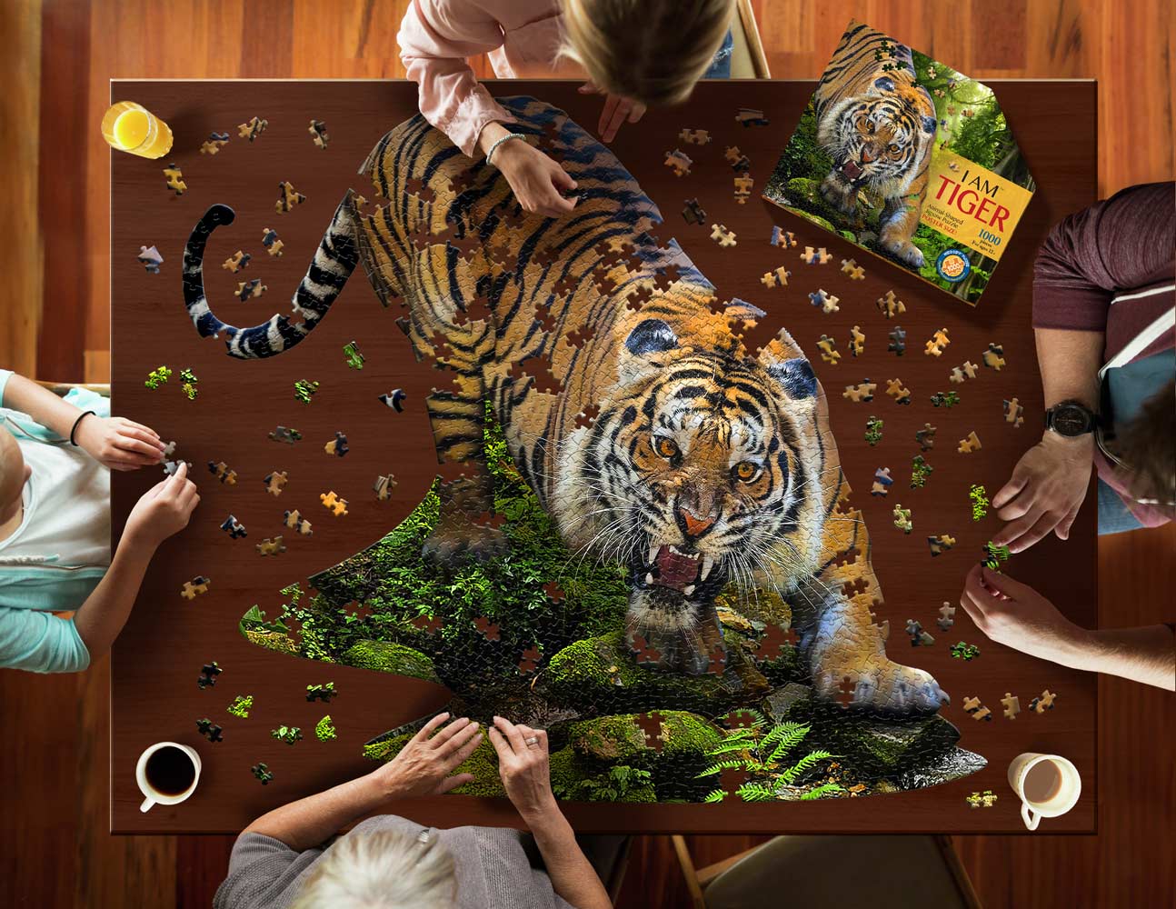 puzzle tigris